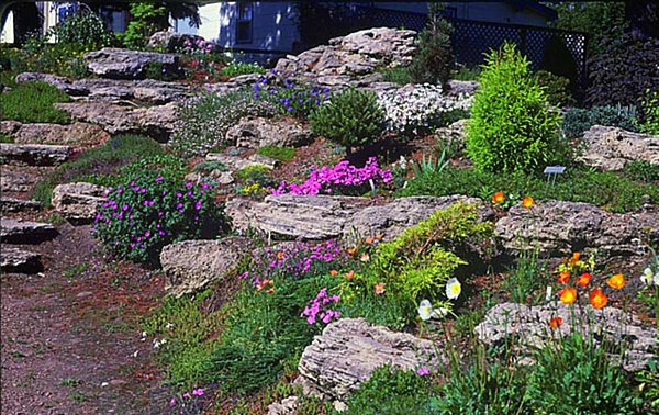 فكرة الحديقة - الحجارة والزهور الملونة
