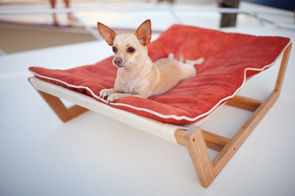 linda cama de perro ortopédico modelo - pequeña raza de perro