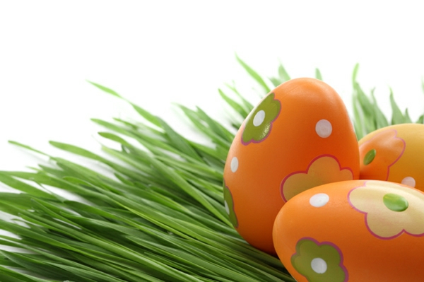maravillosos ejemplos-naranja-huevos-pintura-Merry-Pascua