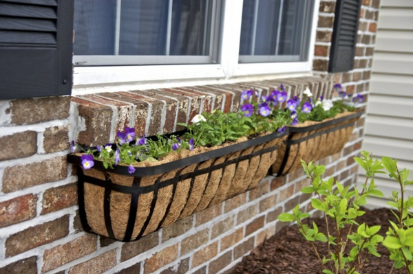 jardinera original-para-el-balcón-violeta-jardinera-caja para balcón
