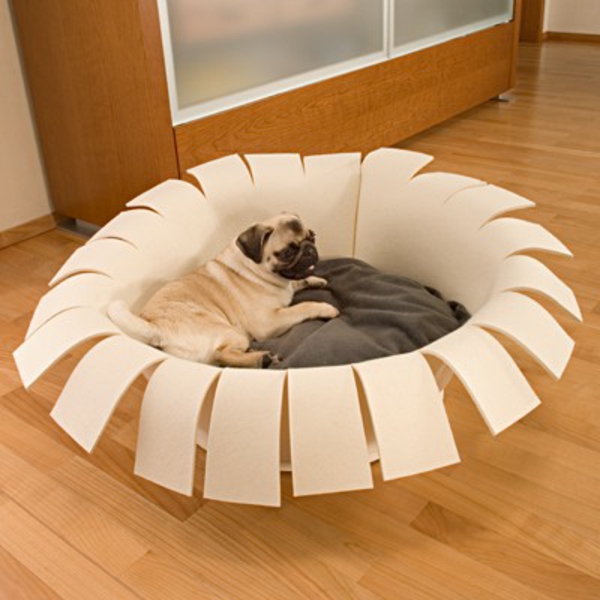 diseño interesante de la cama de perro ortopédico - al lado de un gabinete de madera