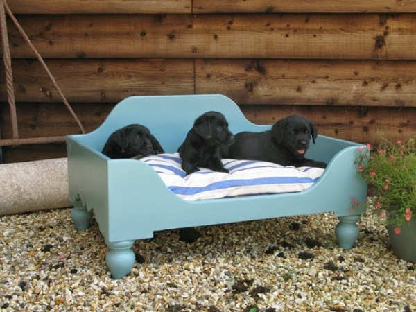 ortopedski-pas-krevet-plavo-boja - tri male pse u crnoj boji