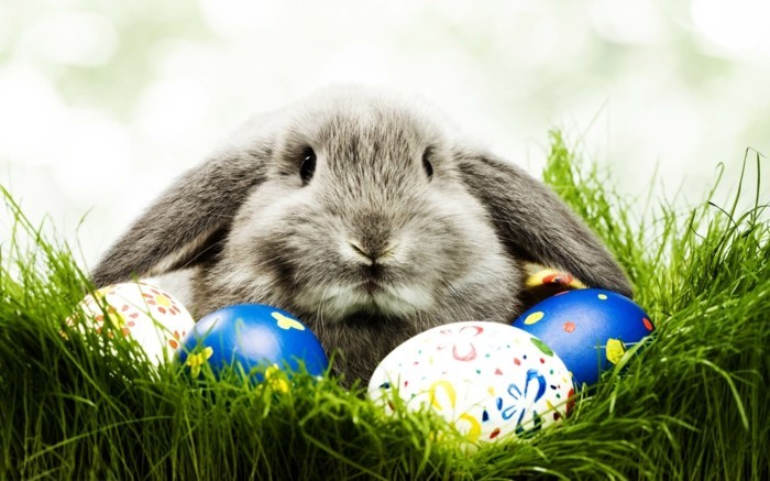 Papel-Pascua-con-un-conejo-en-la-hierba