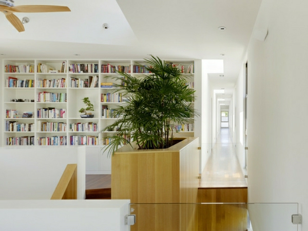 φοίνικες-στο-κήπο-επίσης-ως-εσωτερικούς-φυτού-in-the-βιβλιοθήκη-τοίχους σε λευκό