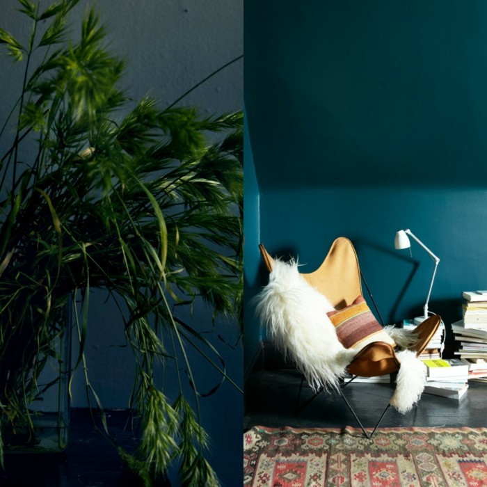 бензин син цвят на стената красив стол-пра-зелено растение