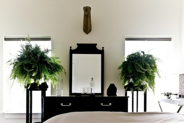Biljka-u-spavaća soba-s-elegantne-ogledalo