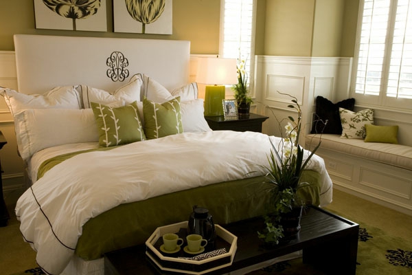 النباتات في غرف نوم مع فنغ شوي معدات