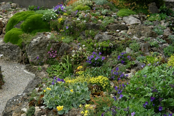 Piedras y plantas en el jardín - buenas ideas