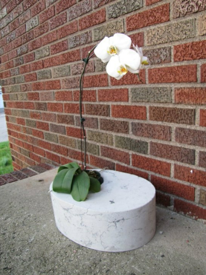 Posuda za cvijeće-of-betonskog-zida od opeke