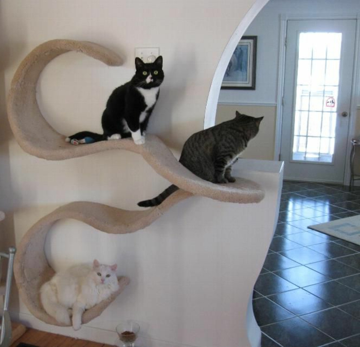 пестящ място-мебели-много на котка върху стената