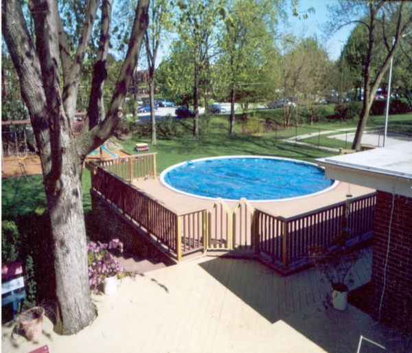 pool-with-a-wood-panelling-un árbol alto al lado