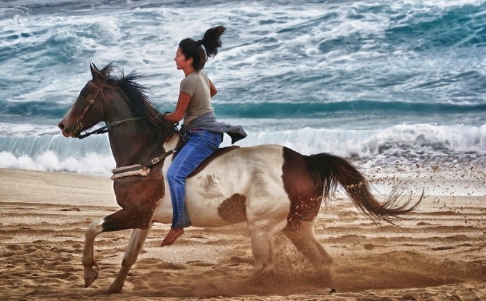 хладна жена кара велик кон в бяло и кафяво