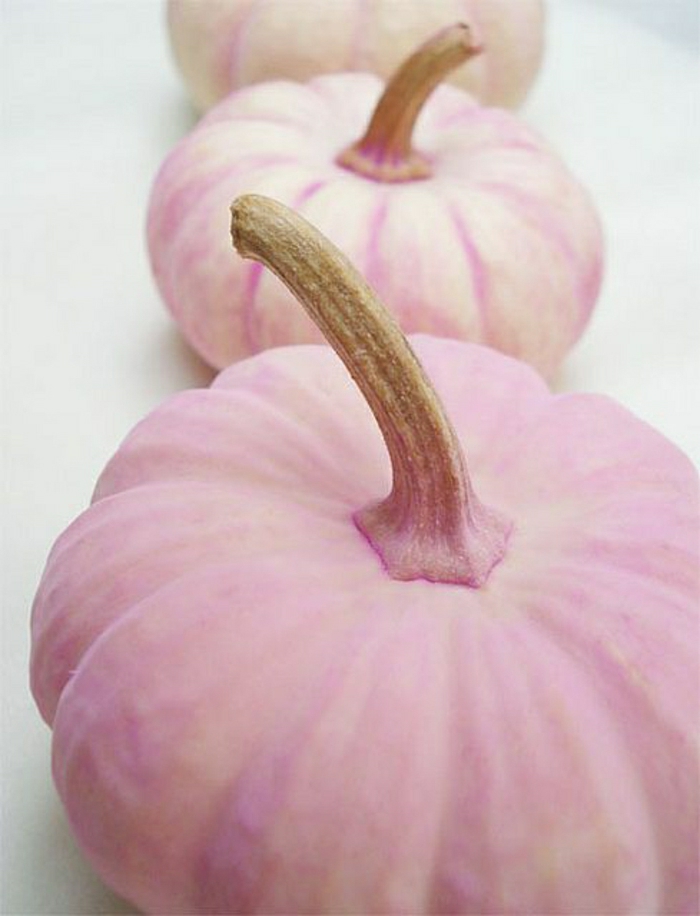Romantikus dekoráció rózsaszín sütőtök arany szárak