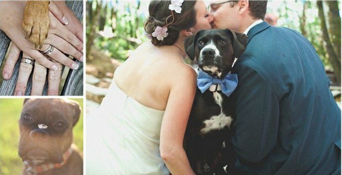 romanttinen häät valokuvaus me-ja-the-koira