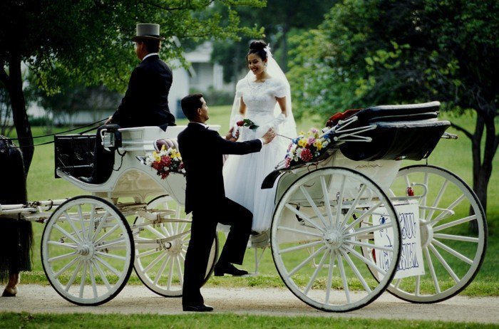 романтични сватбени снимки булката хората с шейна