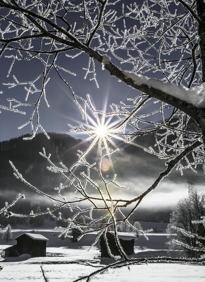 романтична зимна картина замразени клоните на дърветата, сняг