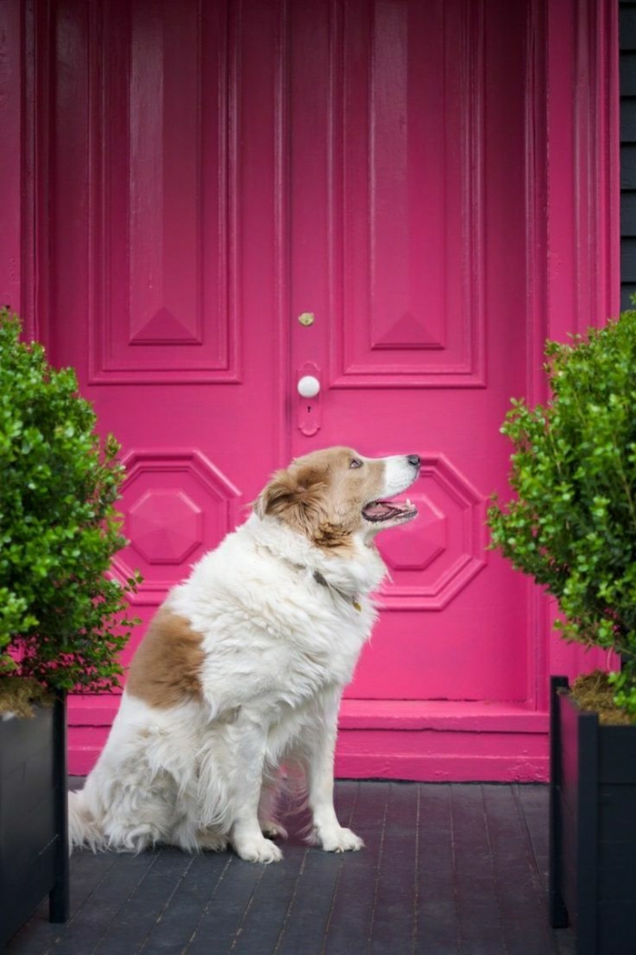 pink-gefarbene-160 éves viktoriánus ház ajtaja-retro-dog virágcserép