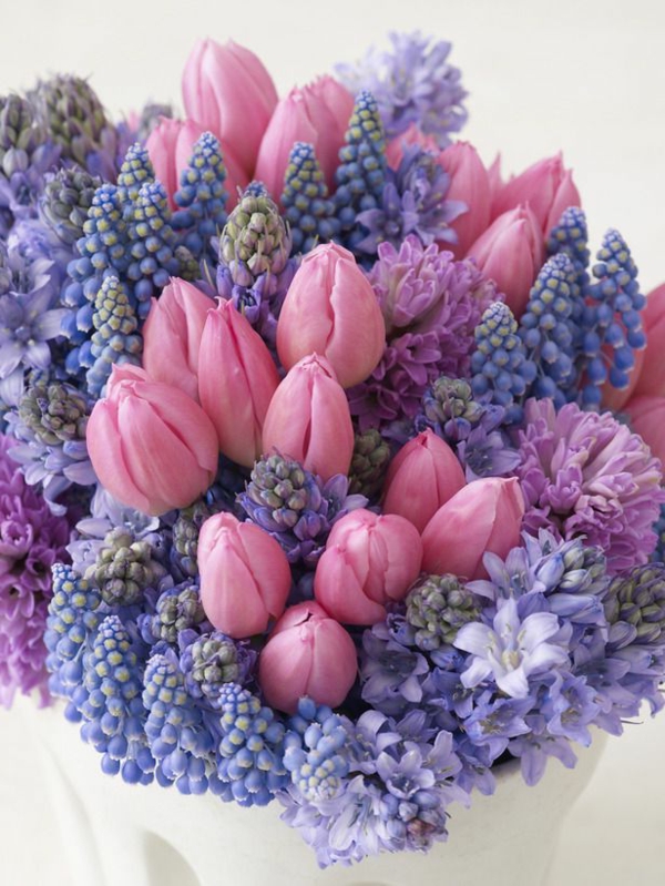 pink-tulipanes-y-azul-jacinto