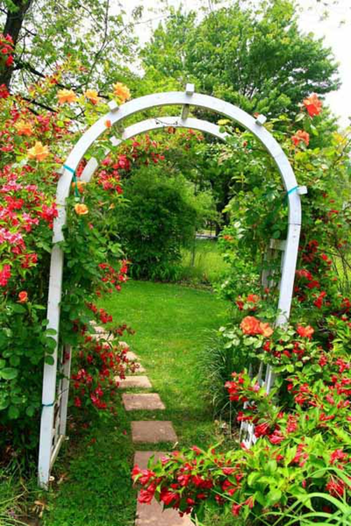 rose arc-de-bois-herbe en vert grande image