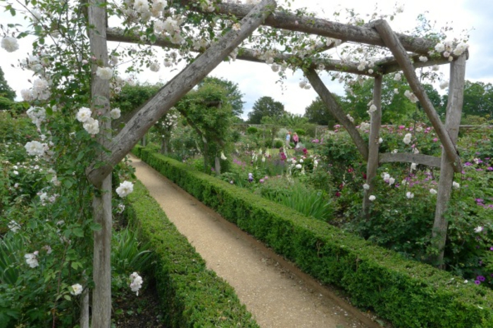 rose arc-de-bois-belle-design-vert-jardin