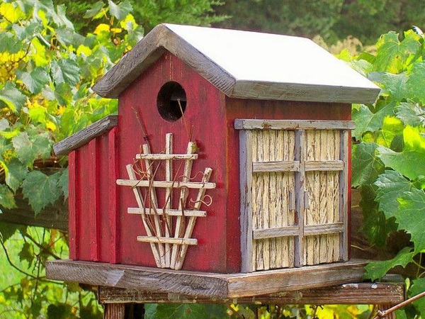 Crvena ptica hranjenje kuća-od-drveta dizajn