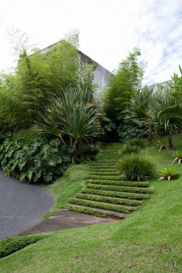 gyönyörű kert lépcsőn füves