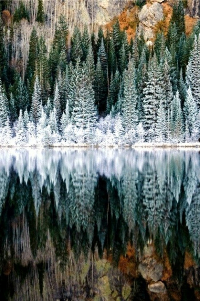 सुंदर सर्दियों चित्र रॉकी पर्वत राष्ट्रीय उद्यान कोलोराडो संयुक्त राज्य अमेरिका