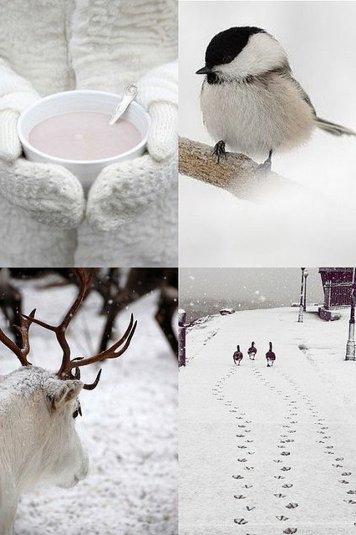 सुंदर सर्दियों तस्वीर-सहानुभूति-फोटोग्राफी-साथ-शीतकालीन इरादों