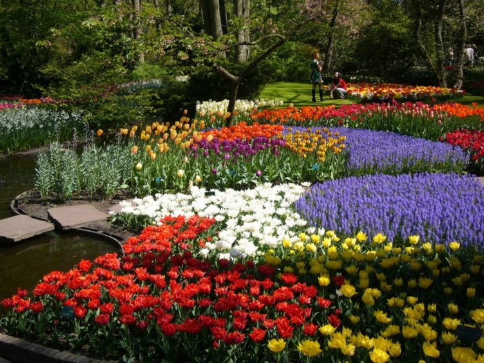 красиви градини тапети цветна градина създадете