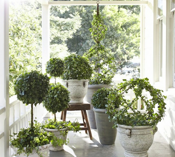 kaunis vihreä kasvi-Gartendeko-ideoita