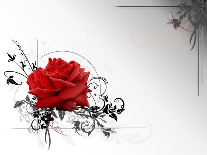 lijepo-zanimljivo-Valentina pozadina super-crvena-ruža