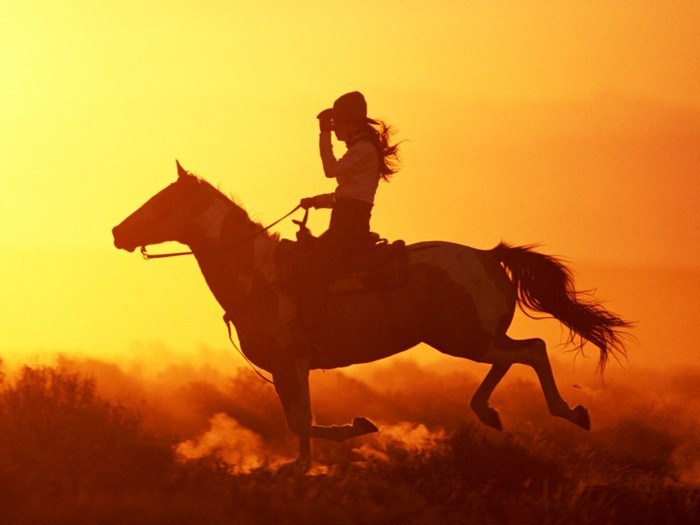 szép ló-képek-a ló-és lehet-rider