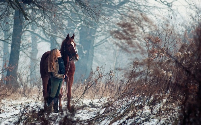 جميل-الحصان الصور دون والعلاقة بين الرجل والحصان هو-قوية جدا،