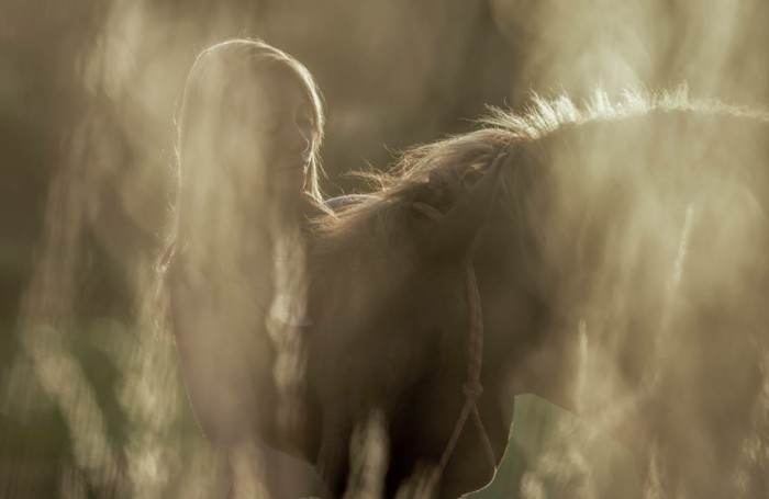 szép ló-képek-a-erős kapcsolat közöttük ló-és humán
