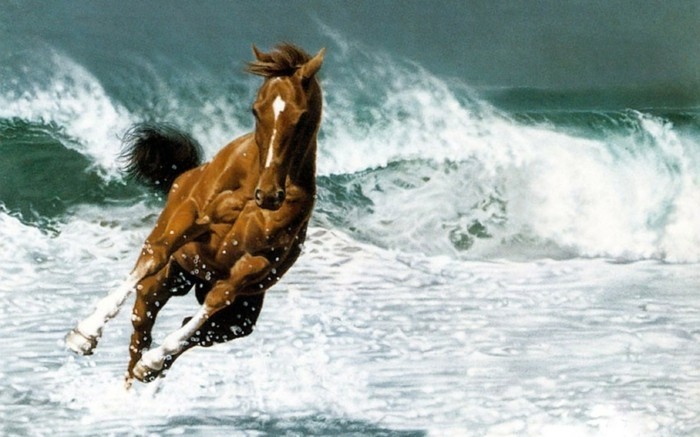 جميل-الحصان الصور هنا-يسأل-WE-منهم-بعد-على-عظيم-صورة تسبق