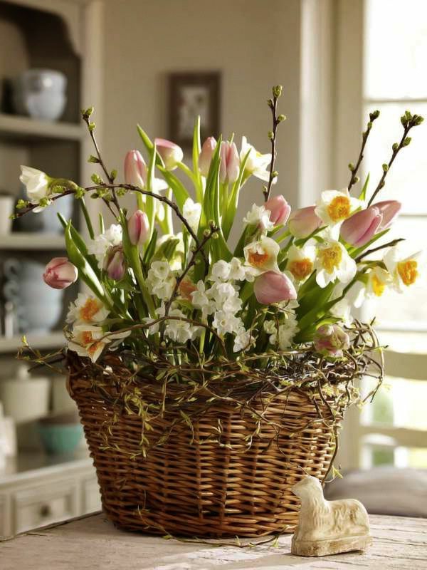 posebno se ističe-tischdeko Cvijeće - tulipan-sadnja-the-lala-lala