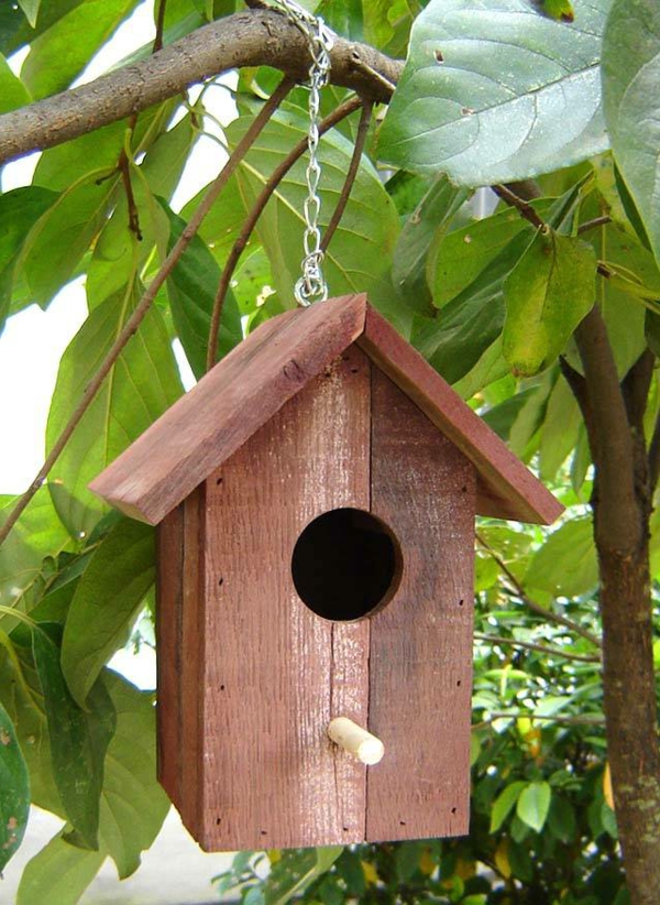 jednostavni ptica hranjenje kuća-od-drveta dizajn