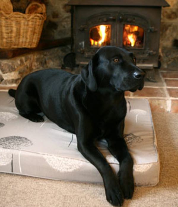 perro negro en una cama de perro ortopédica - detrás de ella - una chimenea