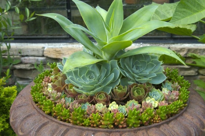 बहुत-दिलचस्प-हरे-पौधों पर रचनात्मक-सुंदर-बगीचों-मेक