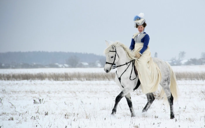 πολύ-ωραία-άλογο-in-χιόνι