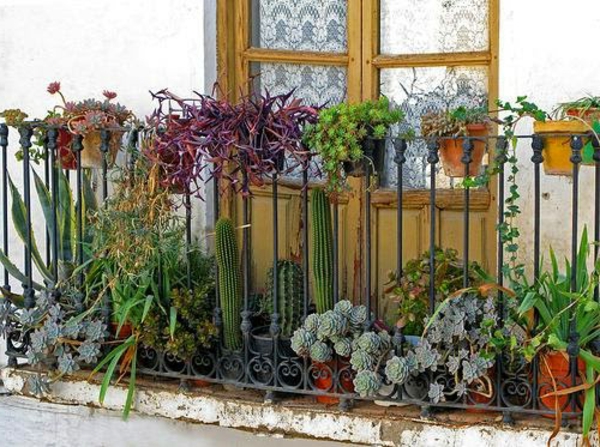 странична страна защита срещу балкон с цветя декорация-кактуси