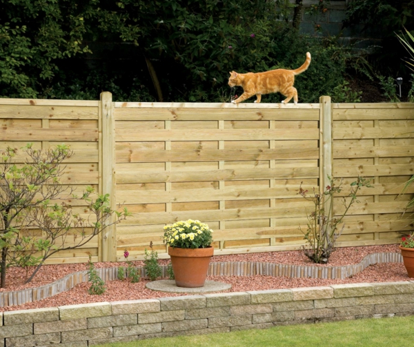 Pogled ograde vrtne mačke i biljaka