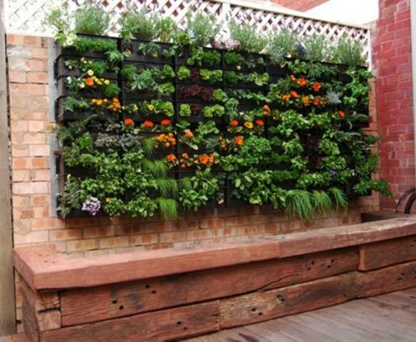 малка градина - много растения на стената