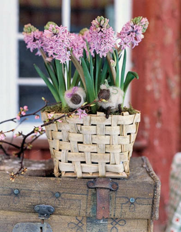 tavaszi-jácint-asztal-dekoráció-elegáns csinos