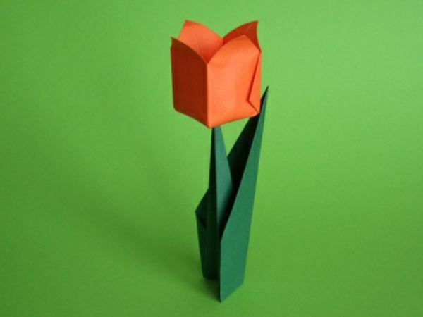 tulipán de pie - fondo verde