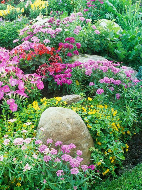 Цветни цветя в красивата рок градина
