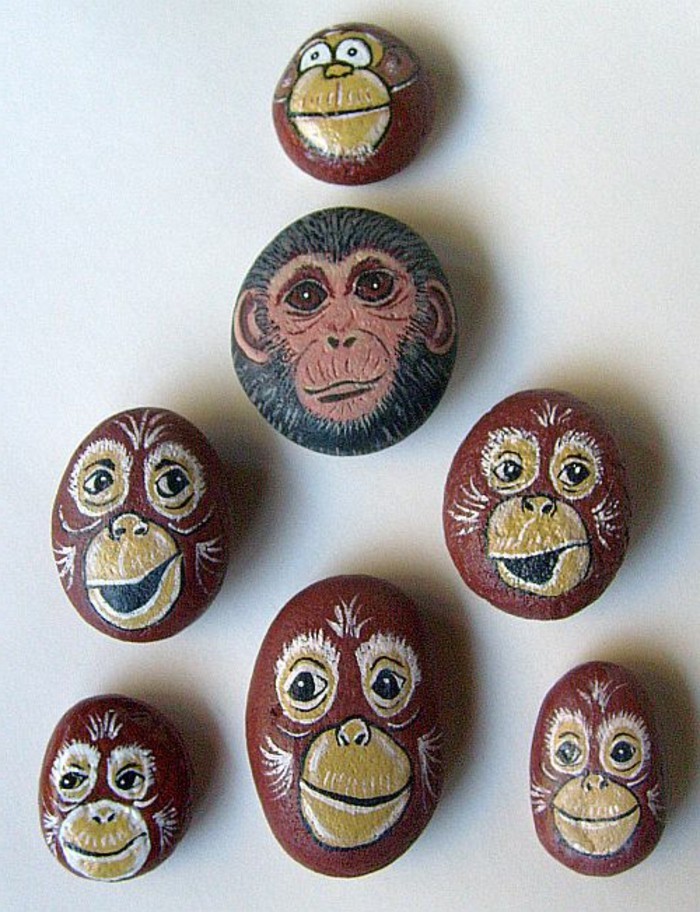 boja kamena boje-ludi-majmuna-na-stones-