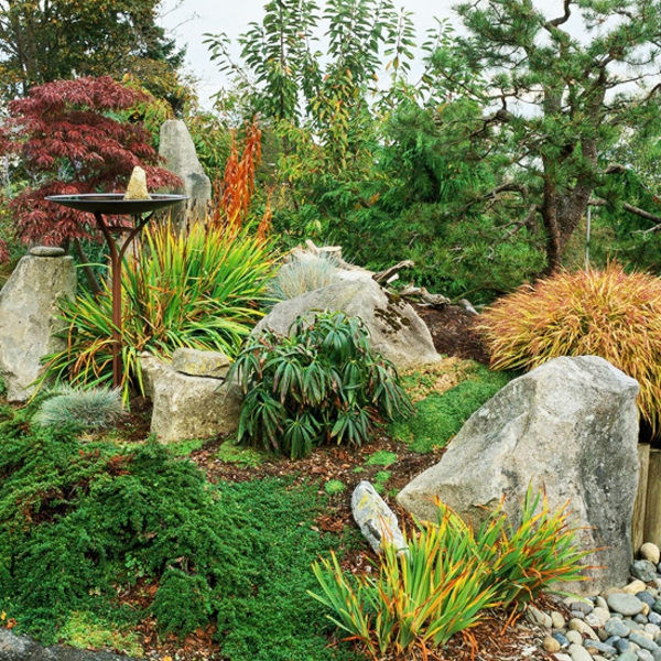 jardinage avec des pierres et des plantes fraîches