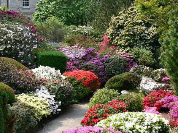Passerelle en pierre et de nombreuses fleurs colorées dans le jardin