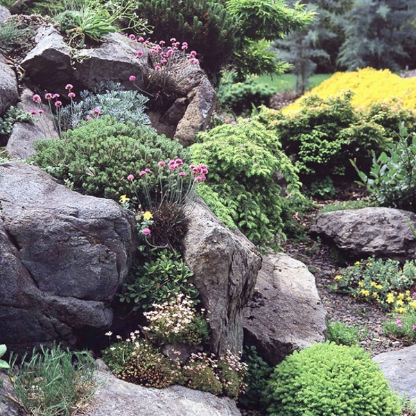 jardinería con piedras y plantas verdes